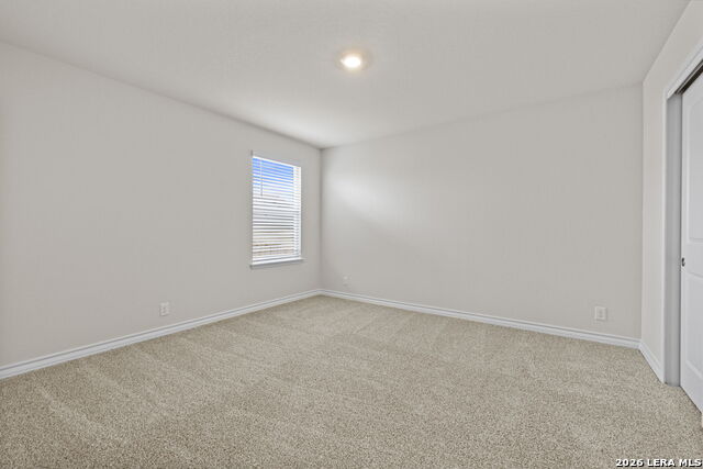 Image 19 of 30 For 209 Squacco Heron