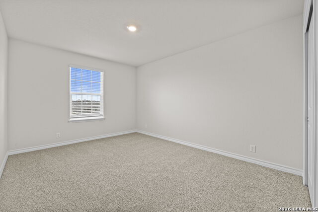 Image 25 of 30 For 209 Squacco Heron