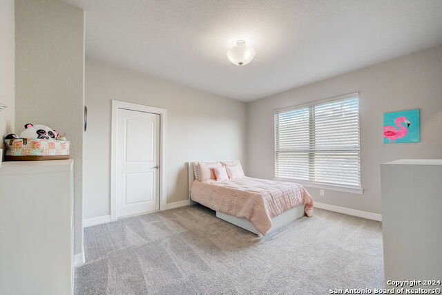 Image 25 of 28 For 28815 Shadowrock