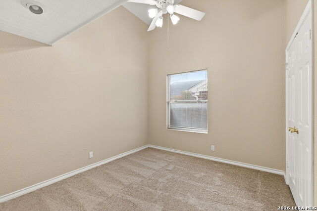 Image 21 of 28 For 9218 Red Leg