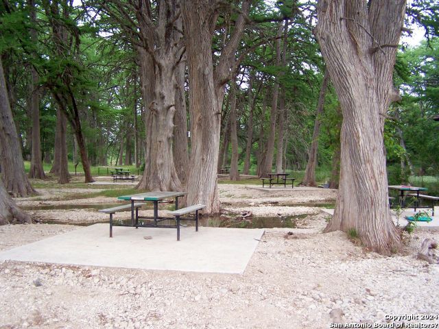 Image 16 of 16 For 254 Possum Haw Holly Trl.