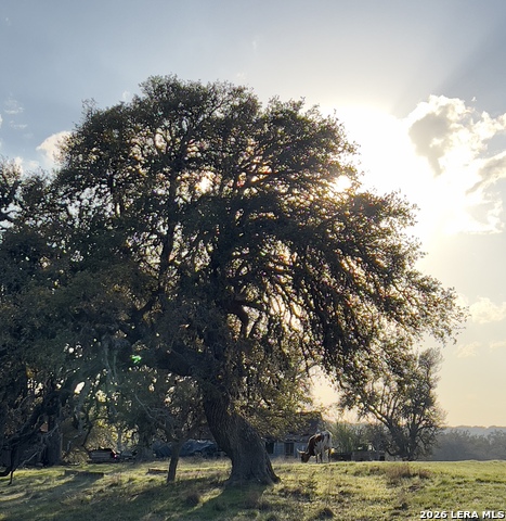 Image 2 of 13 For 124 Purple Sage E