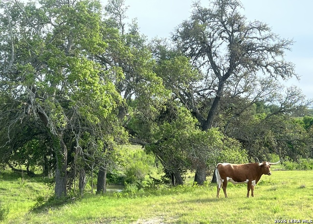 Image 4 of 13 For 124 Purple Sage E