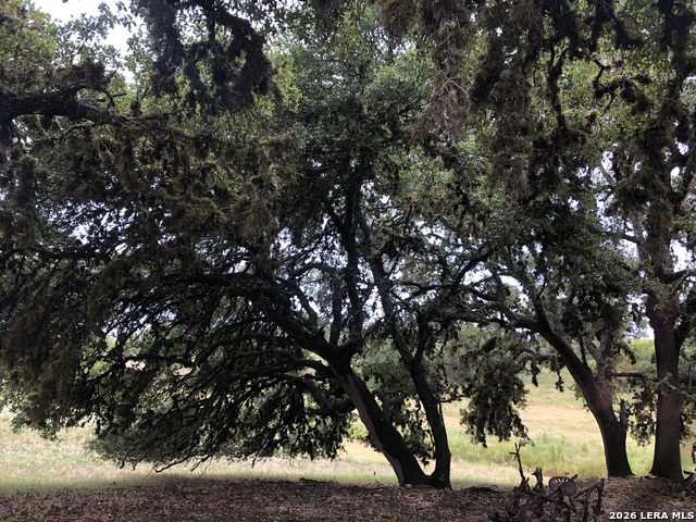 Image 8 of 13 For 124 Purple Sage E