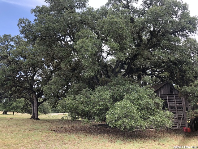 Image 9 of 13 For 124 Purple Sage E