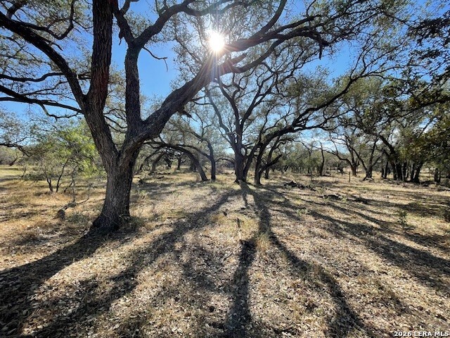 Image 2 of 10 For 1384 County Road 326