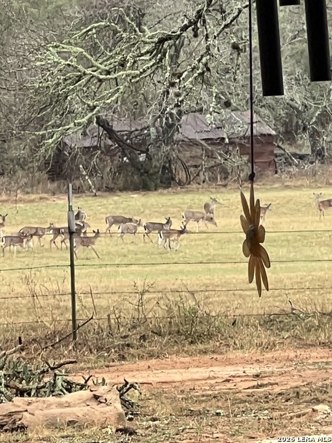 Image 5 of 10 For 1384 County Road 326