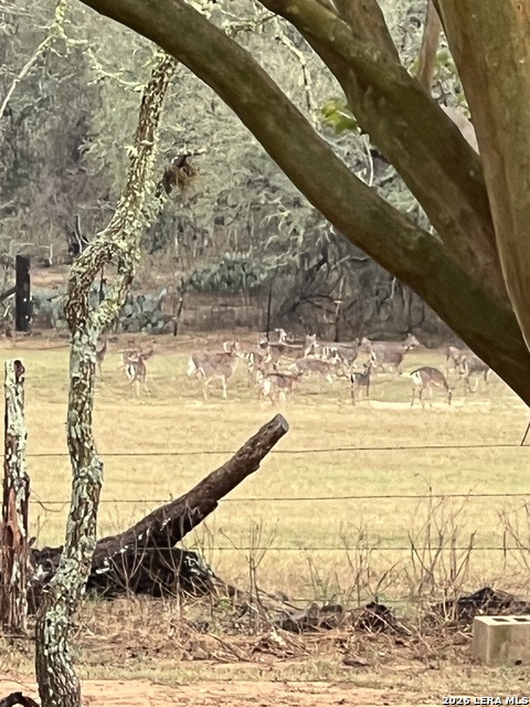 Image 6 of 10 For 1384 County Road 326