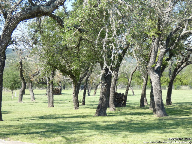 Image 30 of 46 For 234 Mill Dam