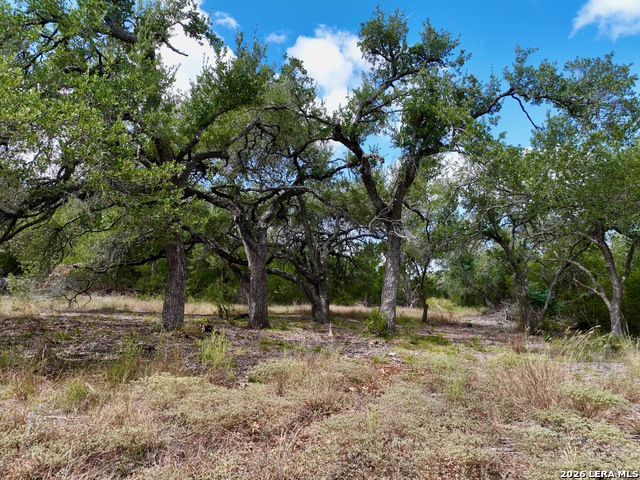 Image 2 of 16 For 19825-b Ranch Rd 12