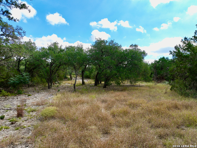 Image 4 of 16 For 19825-b Ranch Rd 12