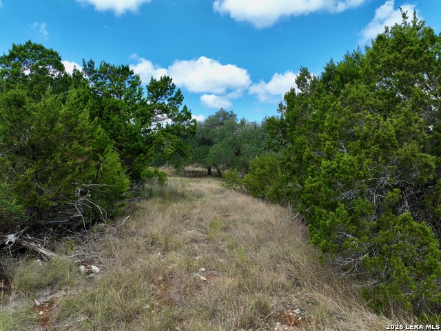 Image 8 of 16 For 19825-b Ranch Rd 12