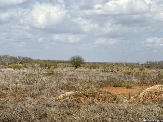 Image 35 of 41 For 1550 County Road 300