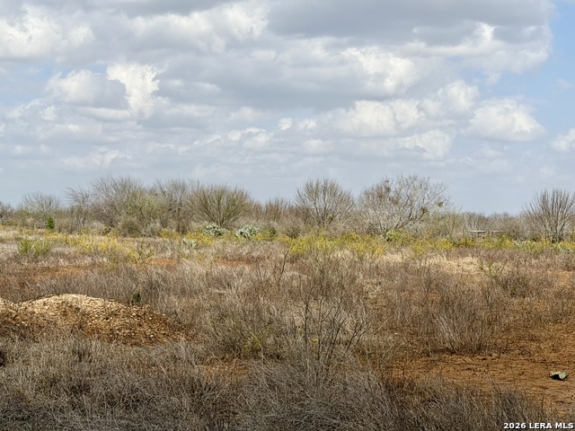 Image 36 of 41 For 1550 County Road 300