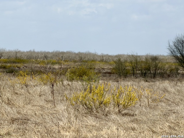 Image 38 of 41 For 1550 County Road 300