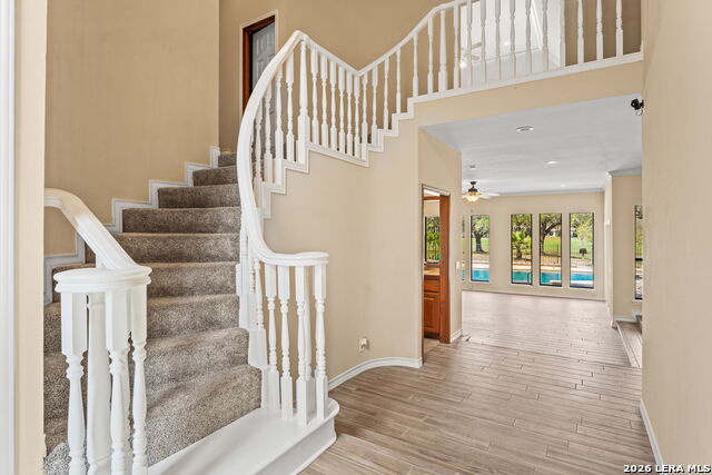 Image 5 of 50 For 505 Spyglass