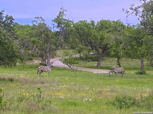 Image 23 of 28 For 1134 Victoria