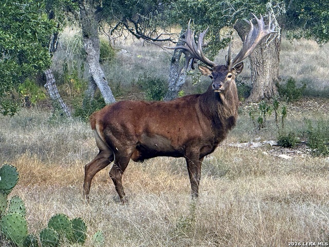 Image 24 of 28 For 1134 Victoria