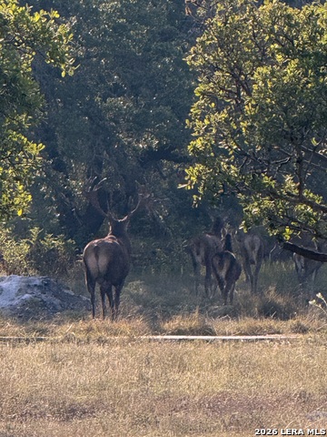 Image 28 of 28 For 1134 Victoria