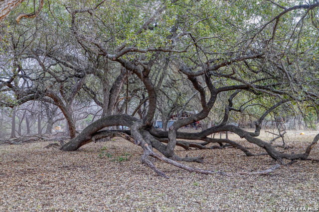 Image 5 of 22 For 292 Private Road 2430