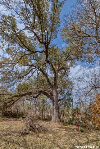 Image 8 of 22 For 292 Private Road 2430