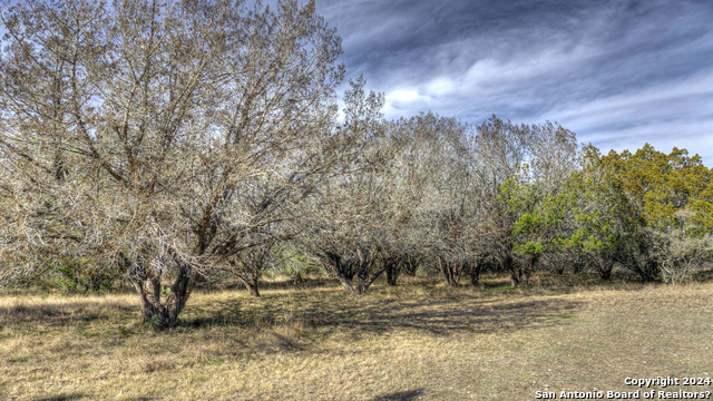 Image 10 of 47 For 22 Squirrel Bend