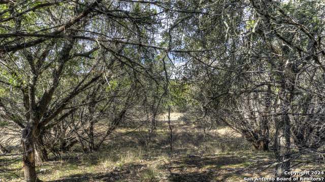 Image 12 of 47 For 22 Squirrel Bend