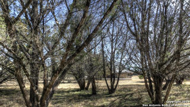 Image 13 of 47 For 22 Squirrel Bend