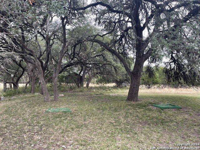 Image 39 of 47 For 22 Squirrel Bend