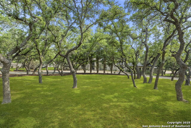 Image 40 of 47 For 113 Carino Cv