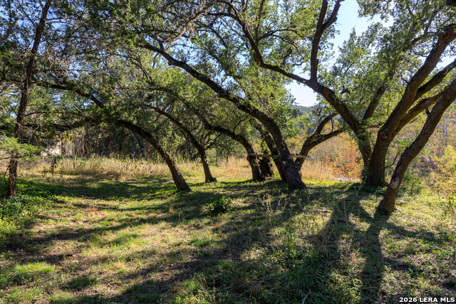 Image 10 of 50 For 2269 Old Rocksprings Rd