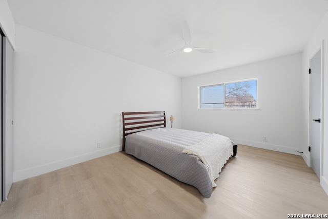 Image 13 of 21 For 1042 Lemon Tree