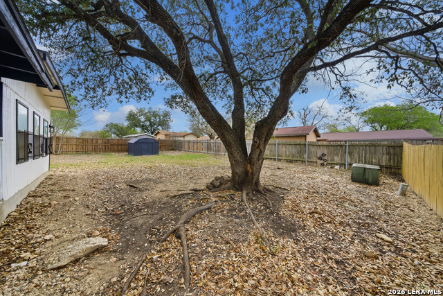 Image 18 of 21 For 1042 Lemon Tree