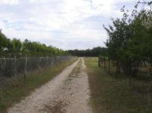 Details for 205 Hill Country Dr, Pipe Creek, TX 78063