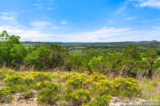 Image 39 of 50 For 17 September Ridge