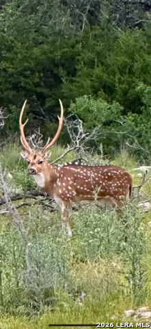 Image 11 of 34 For Tbd Fm 484  