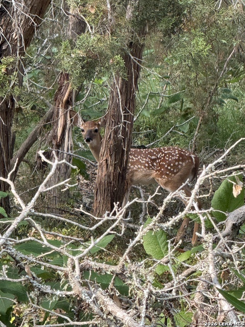 Image 12 of 34 For Tbd Fm 484  