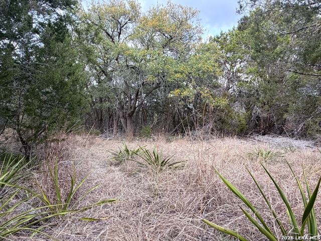 Image 27 of 34 For Tbd Fm 484  