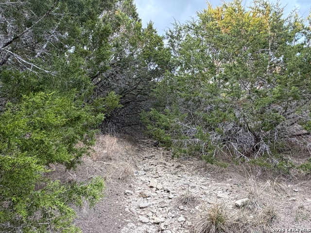 Image 28 of 34 For Tbd Fm 484  