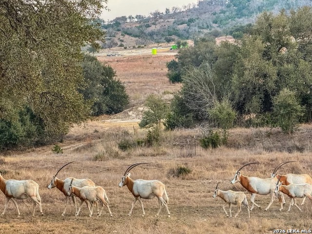 Image 2 of 20 For 211 Majestic Hills