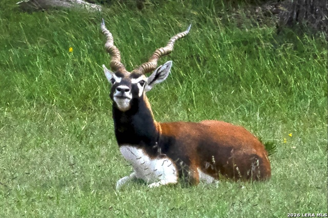 Image 3 of 20 For 211 Majestic Hills