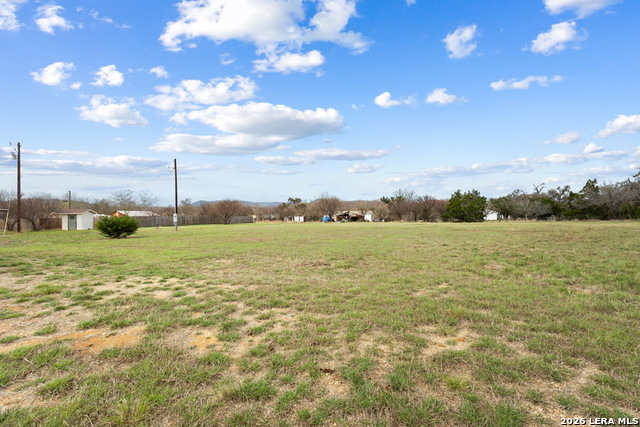 Image 10 of 34 For 175 Pine Tree