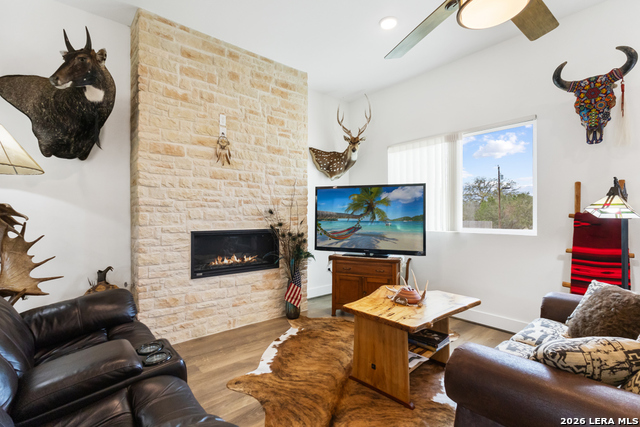 Image 12 of 34 For 175 Pine Tree