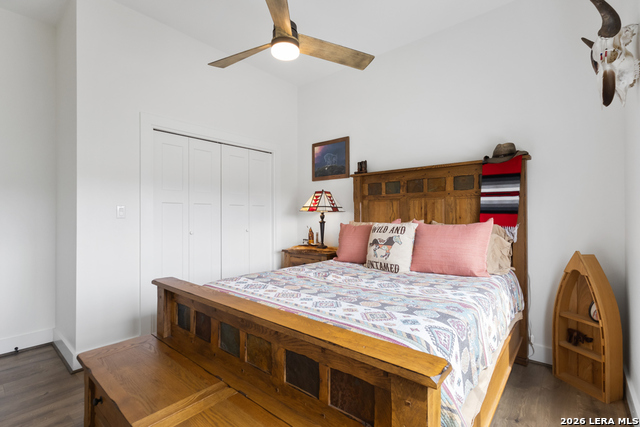 Image 30 of 34 For 175 Pine Tree