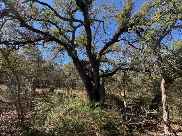 Image 36 of 38 For 2147 Tejas Trail