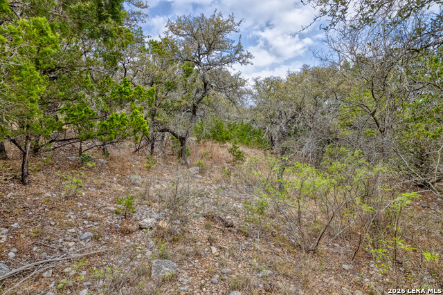 Image 5 of 53 For 430 Frio Canyon