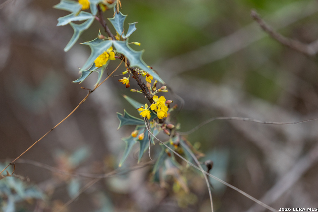 Image 52 of 53 For 430 Frio Canyon