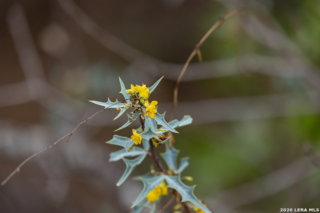 Image 53 of 53 For 430 Frio Canyon