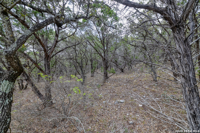 Image 6 of 53 For 430 Frio Canyon