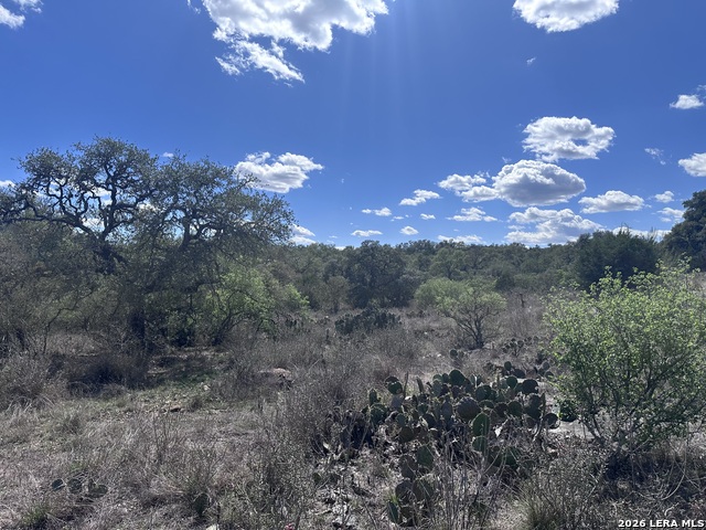 Details for 119 Cartama  , Spring Branch, TX 78070